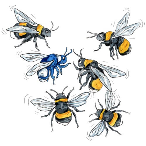 Dieses Motiv mit sechs Bienen ist ein Symbol für Toleranz. Die friedliche Szene zeigt, wie sechs Bienen miteinander in Harmonie leben, obwohl eine von ihnen farblich unterschiedlich ist. Es ist eine wichtige Lektion für Kinder, dass wir uns alle akzeptieren und respektieren sollten, egal wie unterschiedlich wir sind.